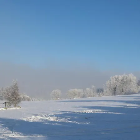 Welcome In - 4-17 Mit Balkon, Abstellraum Und Holzofen * Winterberg