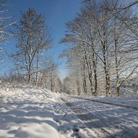 Welcome In - 4-17 Mit Balkon, Abstellraum Und Holzofen Winterberg