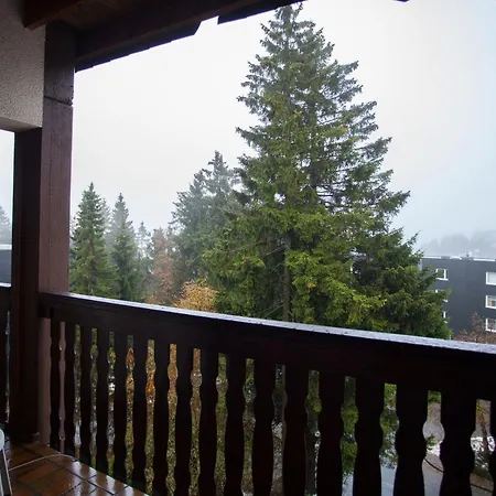 Welcome In - 4-17 Mit Balkon, Abstellraum Und Holzofen Appartamento Winterberg