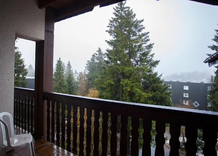 Welcome In - 4-17 Met Balkon, Berging En Houtkachel Apartamento Winterberg